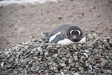 太空狼人杀！《First Class Trouble》PS4＆PS5宣传片